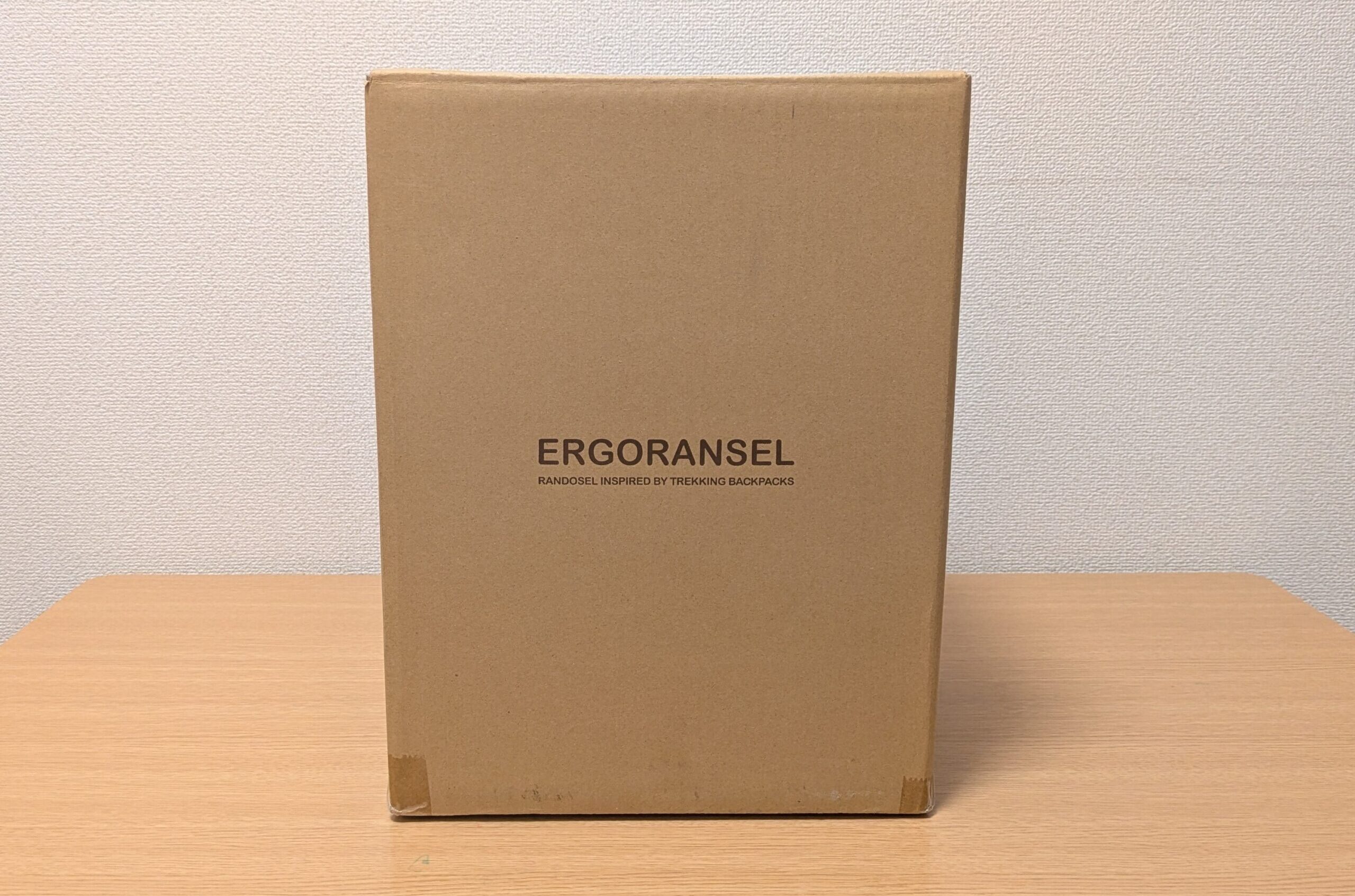エルゴランセルをレンタルした時の、商品が入った段ボールの写真