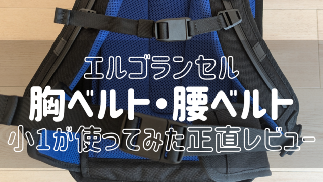 エルゴランセルの胸ベルトと腰ベルトの写真と記事タイトル