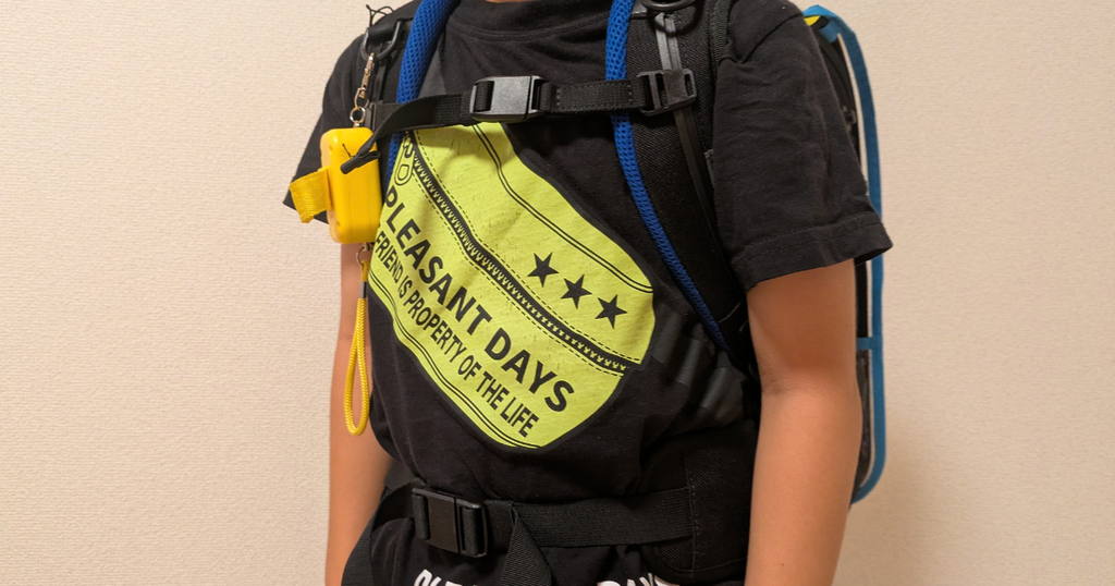エルゴランセルを息子が背負っている写真